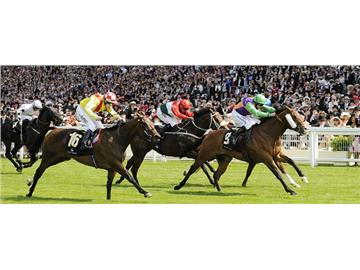 英國的奇葩運動項目，你知道幾個