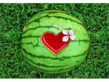 前輩們的英國留學體驗，分享給大家