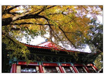 南師大英國留學，哪家機構比較好