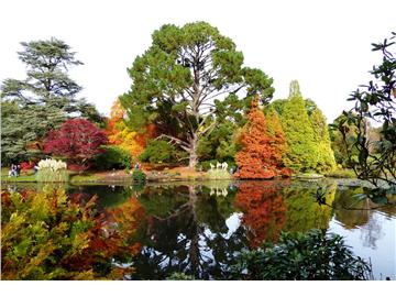 英國的秋天，去哪里浪比較好