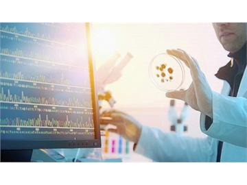 去英國留學生物專業，選擇哪些院校比較好