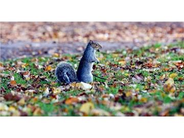 英國秋冬必去景點(diǎn)，看后你也會心動的