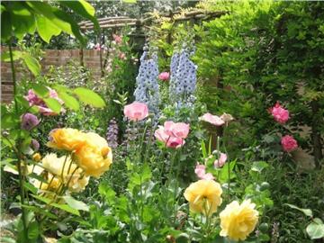 英國那些美麗的花兒，是不是也亮瞎了你的眼