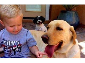 英國人的生活習俗，你還是了解點比較好