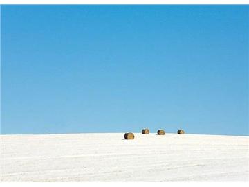 低齡留學熱門因素解讀，為什么家長想送孩子去英國