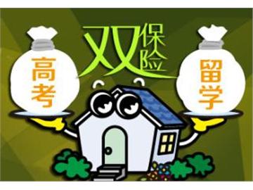 高考+留學(xué)，這樣做才是雙保險(xiǎn)！