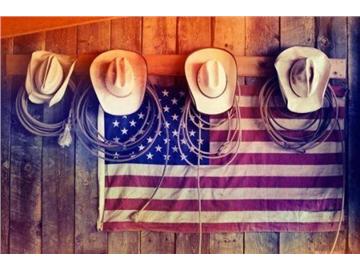 雙非本科申請英國研究生，名校申請難么？