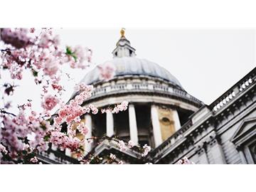 【北京英國留學中介】華威大學本科和研究生入學要求是什么？