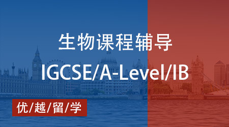 【生物】一文吃透IB/AP/A-Level 生物考試，優越教育助你登頂高分榜