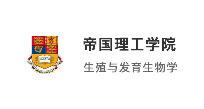【英國G5】被曼大秒拒卻獲IC offer，不按常理出牌的申請策略！