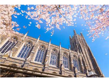 美國留學，GPA成績不夠可以通過哪些來彌補？