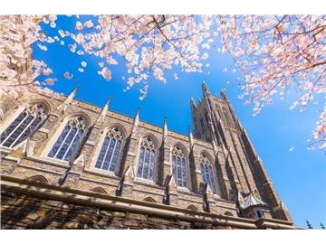  熱門大學之杜克大學，本科申請要求有哪些