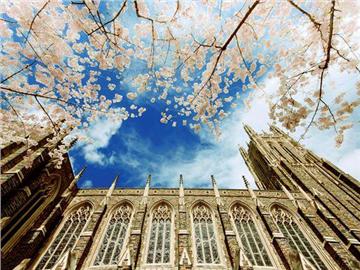 美國名校更喜歡哪種學生？